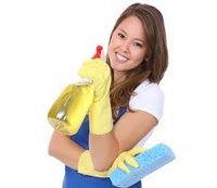 Iva Cleaning Services LTD 353461 Image 1